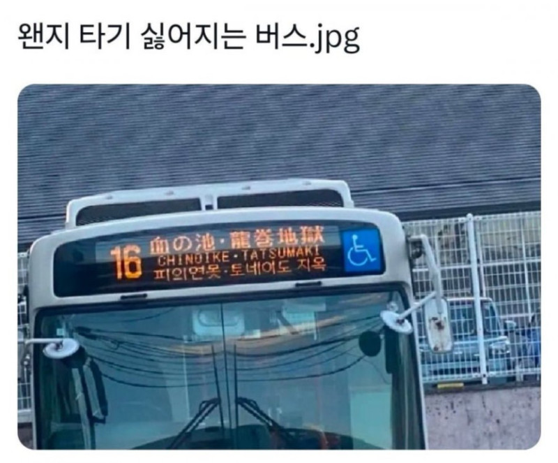 1740673148292.jpg