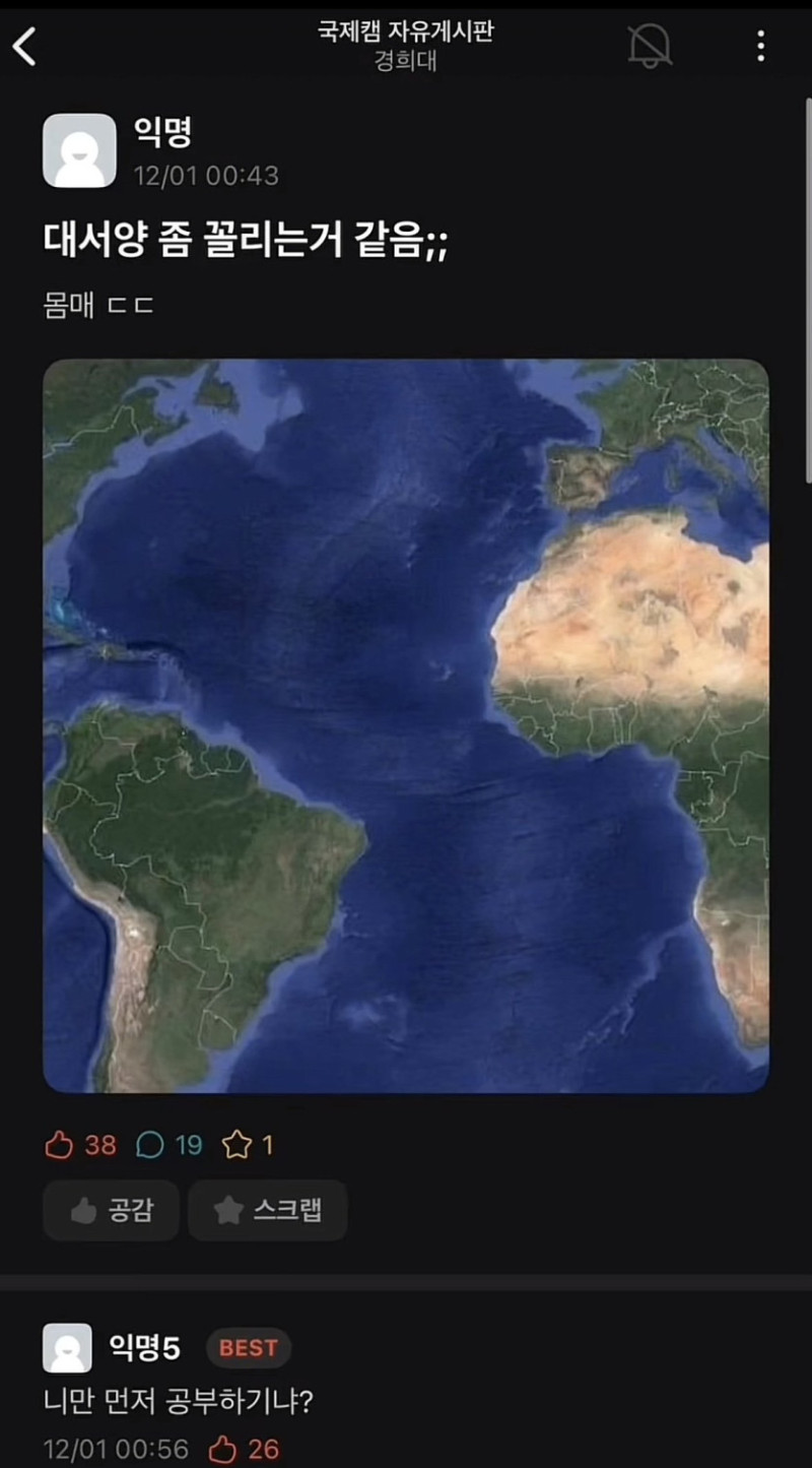 17406738166782.jpg