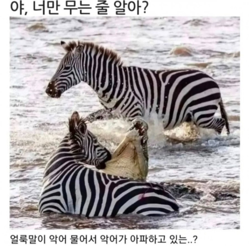 17406743069869.jpg