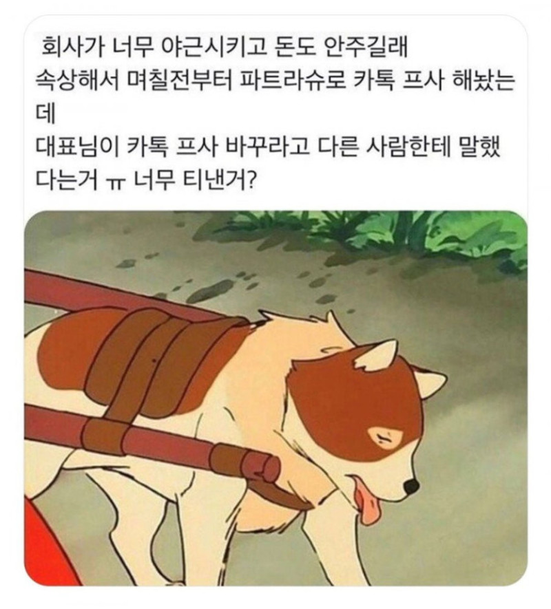 17406744353954.jpg