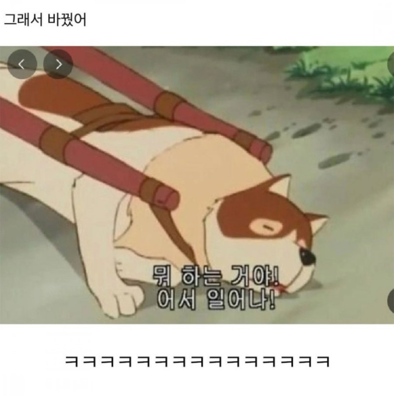 17406744356276.jpg