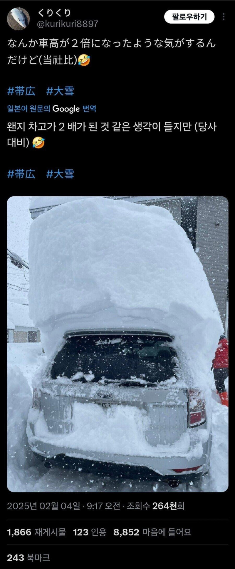 174067451371.jpg