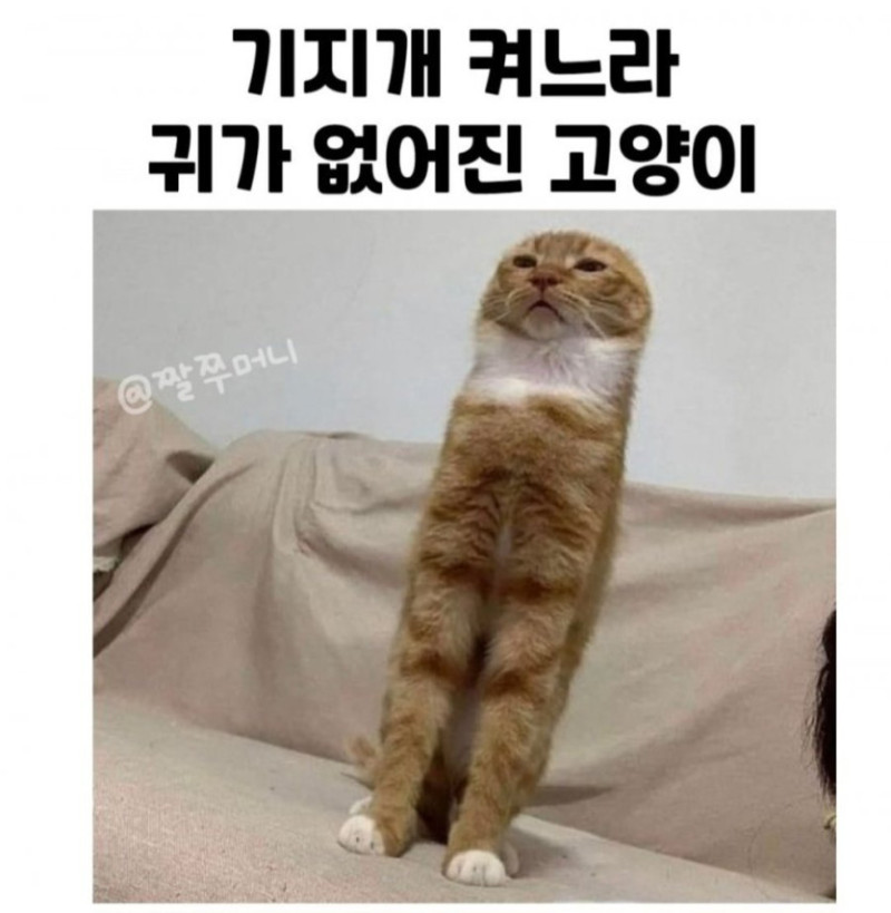 17406745283215.jpg