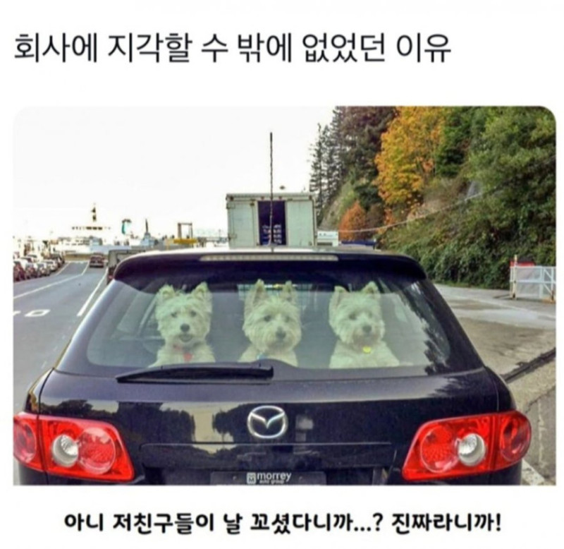 17406746361814.jpg