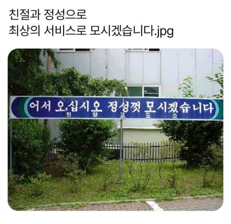 17429688803361.jpg