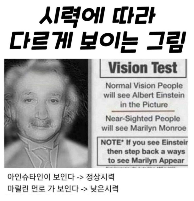 17455824396477.jpg
